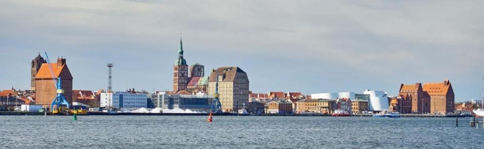 Hildegard 8